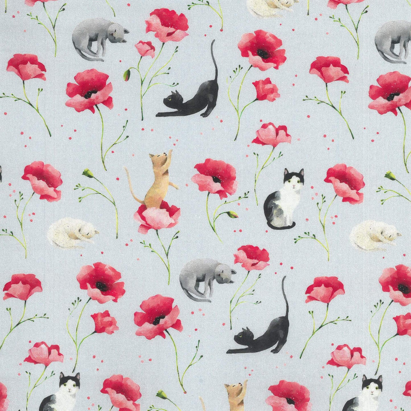 Serie Catwalk // Druckstoff