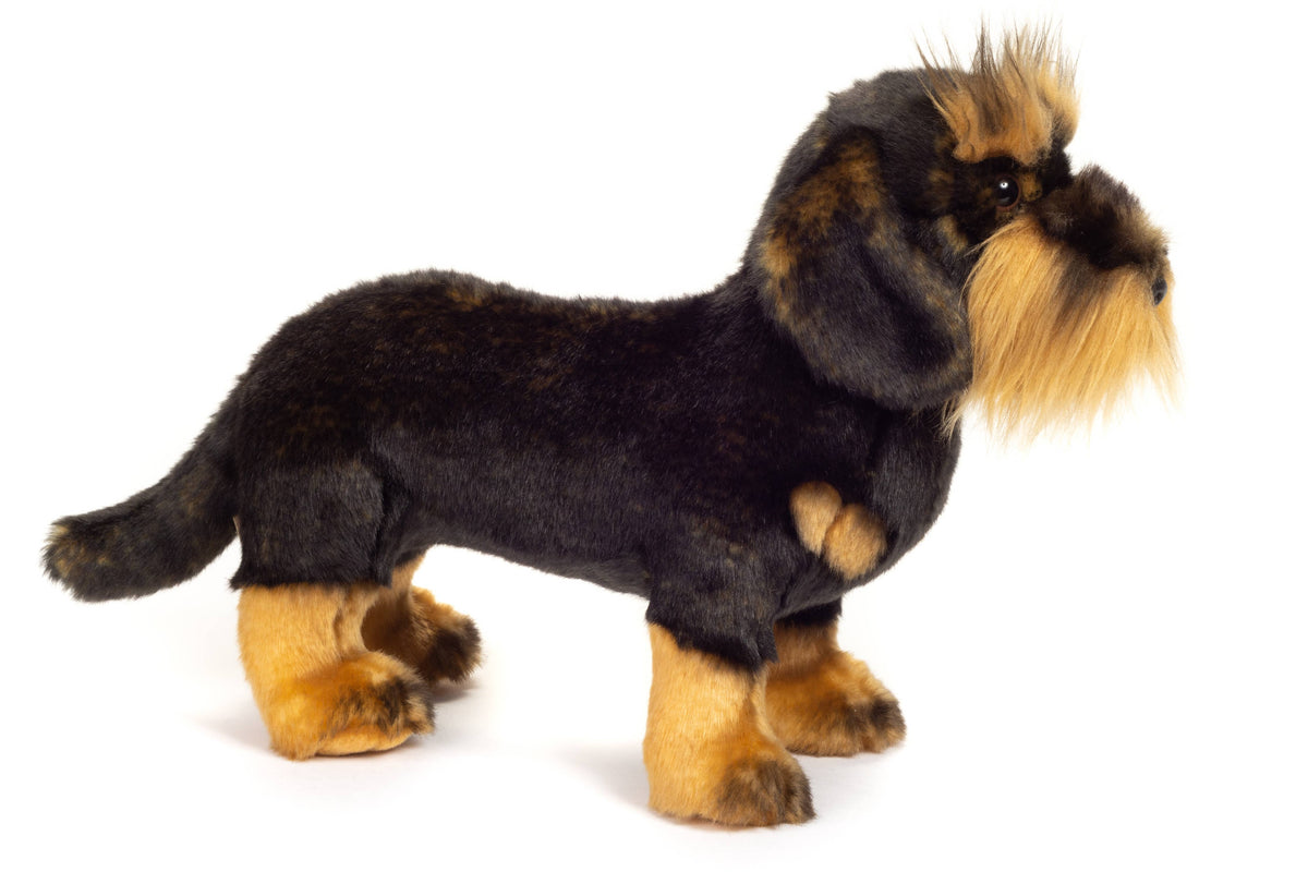 Rauhaardackel stehend 28 cm - Plüschtier - Stofftier