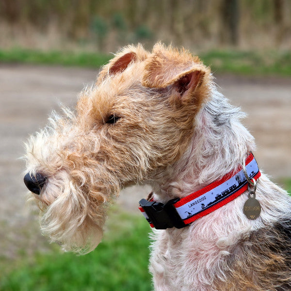 Hundehalsband Langeoog